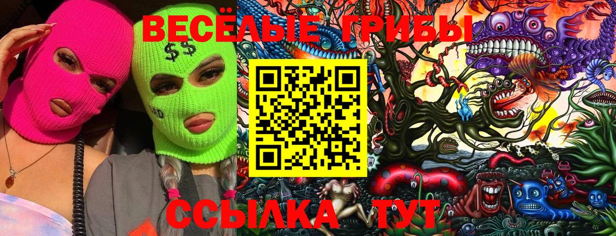 Псилоцибиновые грибы Psilocybine cubensis Сибай