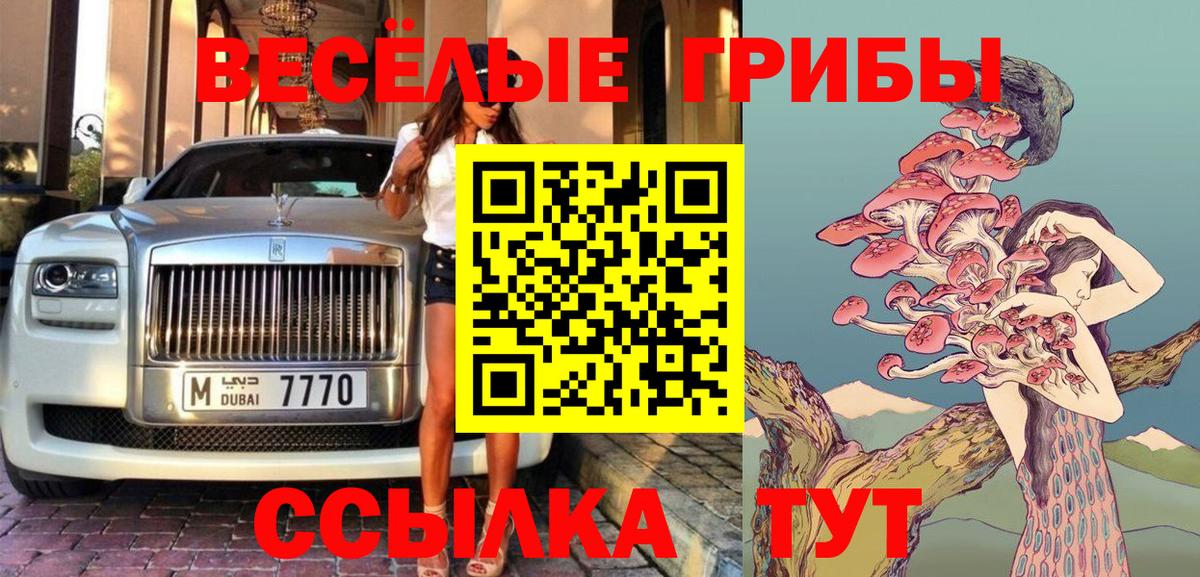 Сибай  Псилоцибиновые грибы MAGIC MUSHROOMS  Вход с VPN 